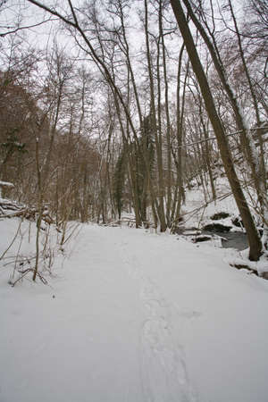 Winterの写真素材