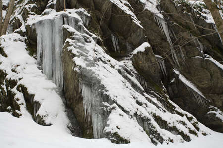 Winterの写真素材