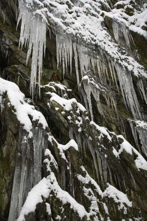Winterの写真素材