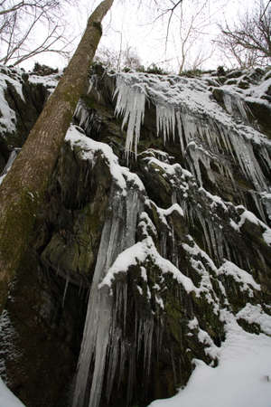 Winterの写真素材