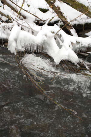 Winterの写真素材