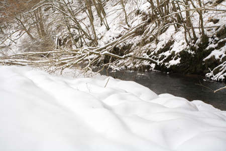 Winterの写真素材