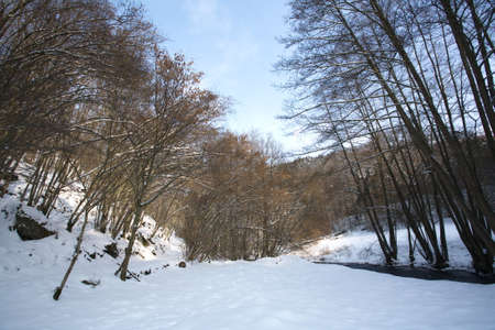 Winterの写真素材