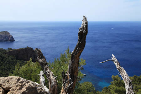 Mallorca Coastの写真素材