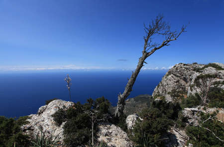 Mallorca Coastの写真素材