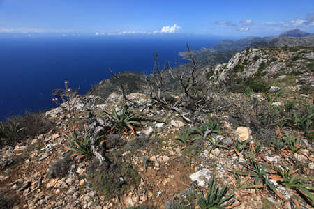 Mallorca Coastの写真素材
