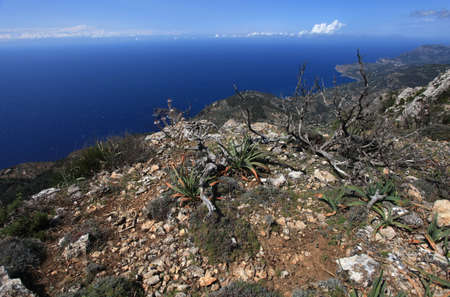Mallorca Coastの写真素材
