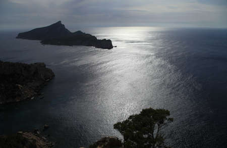 Mallorca  / La Dragoneraの写真素材