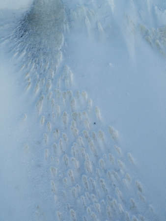 Wintertime