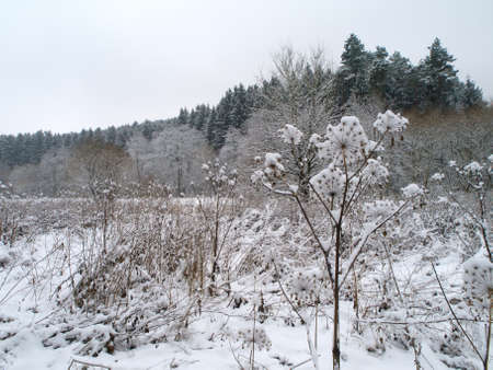 Winterの写真素材