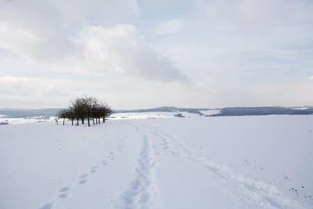 Winterの写真素材