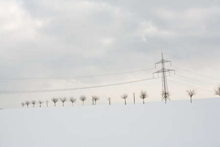 Winterの写真素材