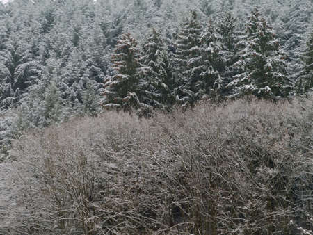 Winterの写真素材