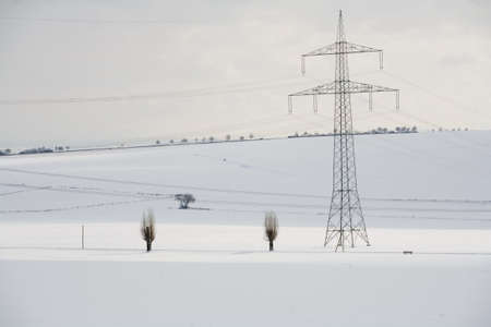 Winterの写真素材