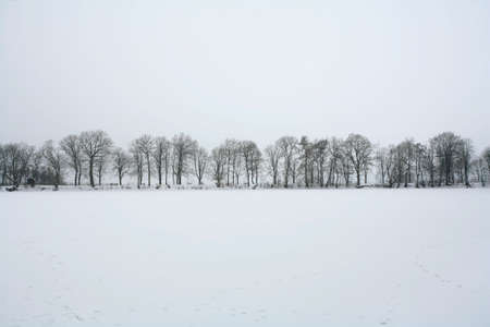 Winterの写真素材