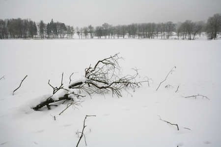 Winterの写真素材