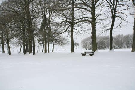 Winterの写真素材