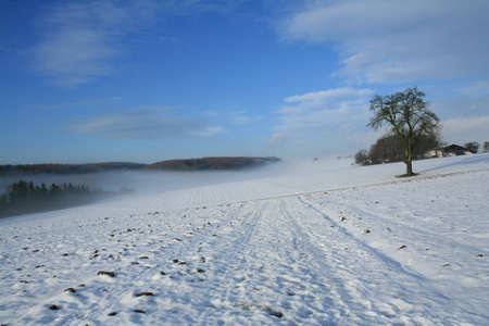 Winterの写真素材