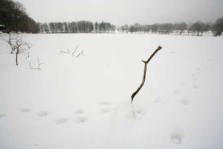Winterの写真素材