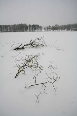 Winterの写真素材