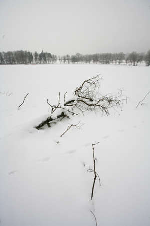 Winterの写真素材