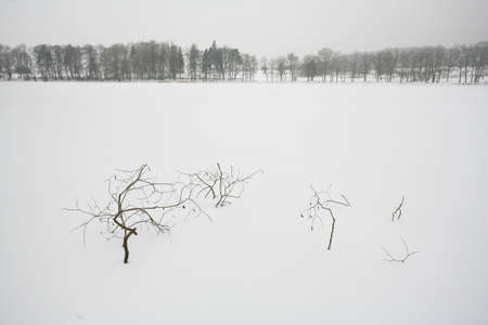 Winterの写真素材