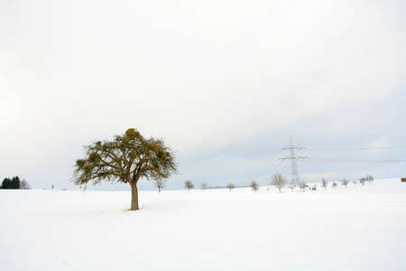 Winterの写真素材