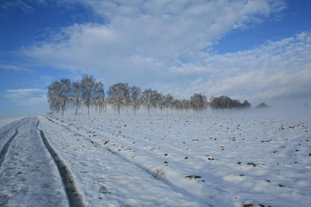 Winterの写真素材