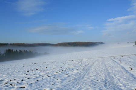 Winterの写真素材