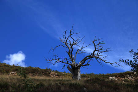 Water shortageの写真素材