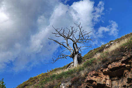 Water shortageの写真素材