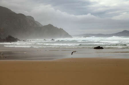 Beachの写真素材