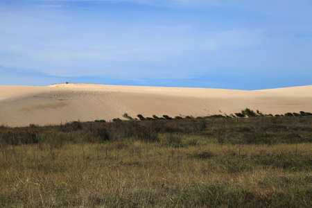 duneの写真素材