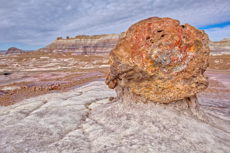 A large piece of petrified wood in the Petrified Forest National Park along the Blue Mesa Trail that has been uncovered by decades of erosion. In the distance are Hoodoos on the Blue Mesa Ridge.の写真素材