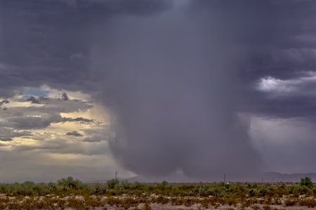 A very dense shaft of rain falling from a Monsoon storm near the White Tank Mountains in...