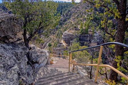 Walnut Canyon Stepping into History. Downward steps leading into the Walnut Canyon National...