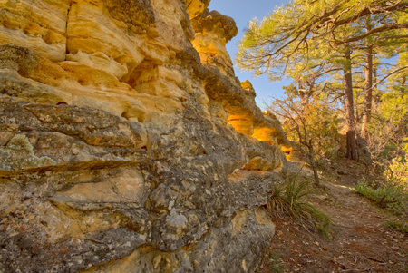 A rock formation along the Telephone Trail north of Sedona AZ called the Reef Wall. The rock windows...