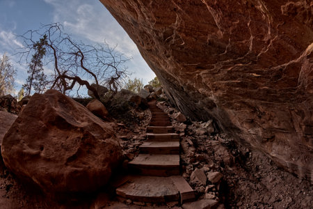 Steps leading to the Sipapu Bridge at Natural Bridges National Monument Utah. The word Sipapu is a Hopi word meaning Gateway of the Soul.の写真素材
