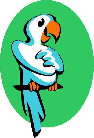 Cockatoo. Exotic bird with a sly look. Vector drawing for prints or illustrations.のイラスト素材