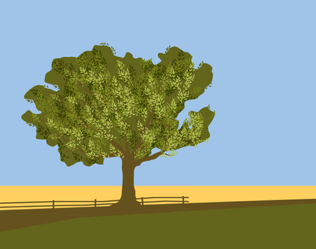 a lonely leafy big tree among yellow and green meadows.のイラスト素材