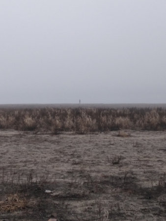Ghostly silhouette of a person on a foggy horizon. Late Autumn. Gloomy moodの写真素材