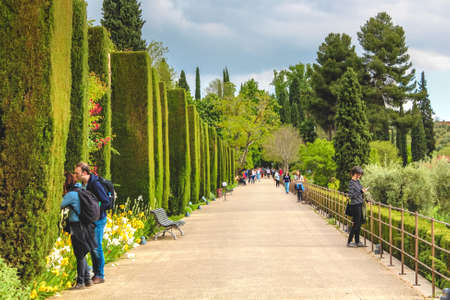 Granada, Spain - 5/6/18: Tourists in a garden with a long corridor and tall bushes and trees, many flowers, and benches. Granada, Spainのeditorial素材