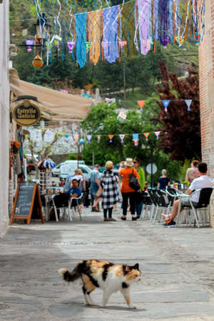 Cat walking on the streets of Pampaneira, Alpujarras, Sierra Nevada, Granada, Spainのeditorial素材