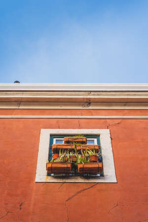 Window succulent boxes and plant boxes, pot plants. Old red building, white window frames, Rusty...
