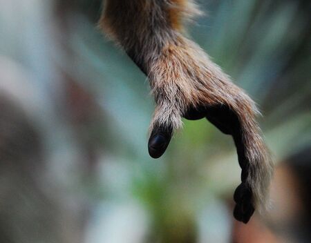 Trust Meの写真素材