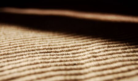 surface of the carpet