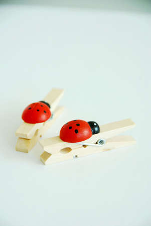 little paper clips with ladybugの写真素材