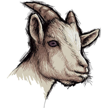 Goatのイラスト素材