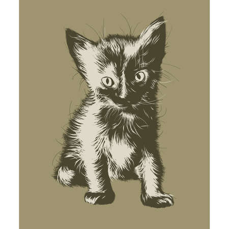 Kittenのイラスト素材