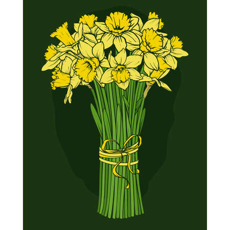 Daffodils bouquet のイラスト素材